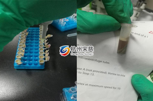 <a href=http://m.hfnnzms.cn/prouduct/lengdong/ target=_blank class=infotextkey>冷凍研磨儀</a>